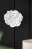 S/2 White Rose Hanging Wall Accents