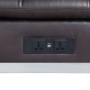 Brown Chaise Lounge with Pillow and USB Port