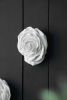 S/2 White Rose Hanging Wall Accents